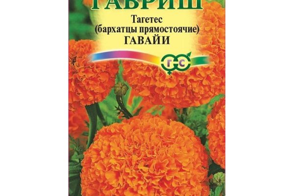 Кракен открылся