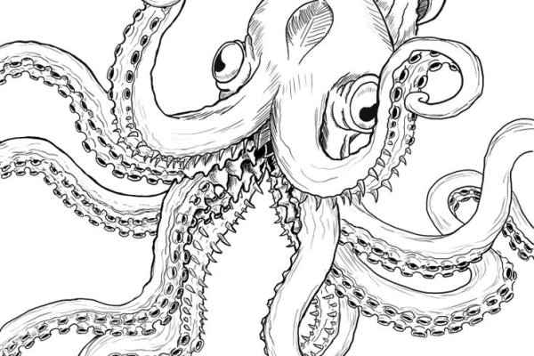 Kraken 22at