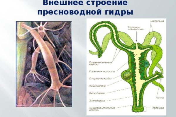 Кракен ссылка зайти