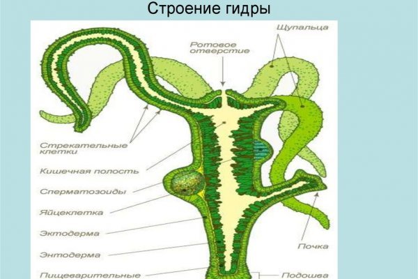 Кракен маркет даркнет только через тор