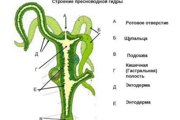 Kraken 2025 ссылка