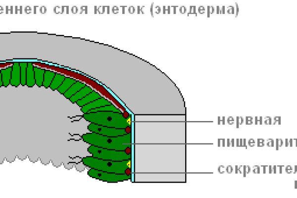 Кракен ссылка на рабочее зеркало