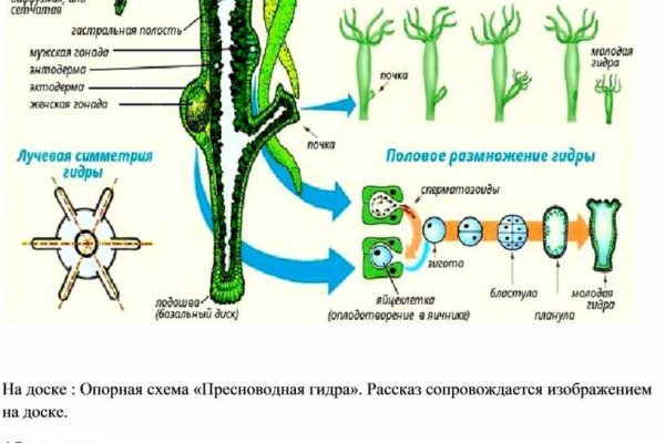 Ссылка кракен официальная тор