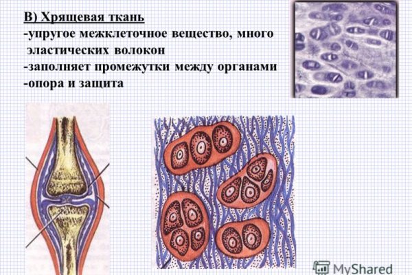 Настоящий сайт kraken